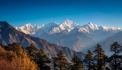 Dharamshala Volvo Package for Couple's 3N-4D + (2 Overnights Journey)